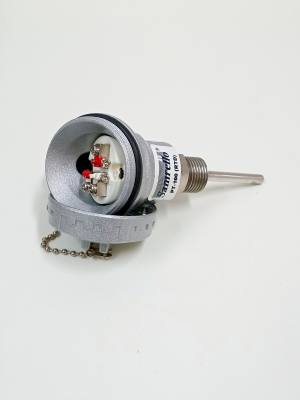 Sensor Term. PT 100 ..50 x .6 mm Haste Inox c/ Cabecote 10376 *