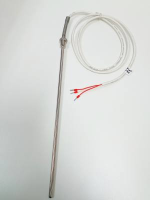 Sensor Term. PT 100 .300 X 6 mm Haste Inox S/Cabecote Cabo 1MT (58170/55877) *