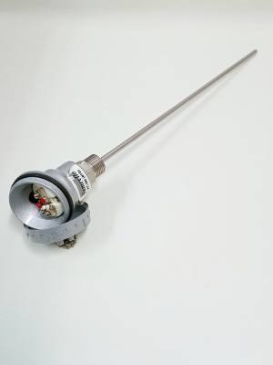 Sensor Term. PT 100 .300 x 6 mm Haste Inox C/ Cabecote 1/2" (10345/9972) *