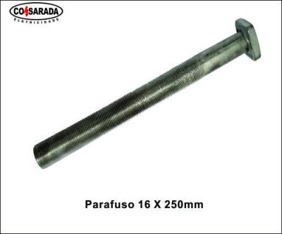 Parafuso 16 x 250 mm *
