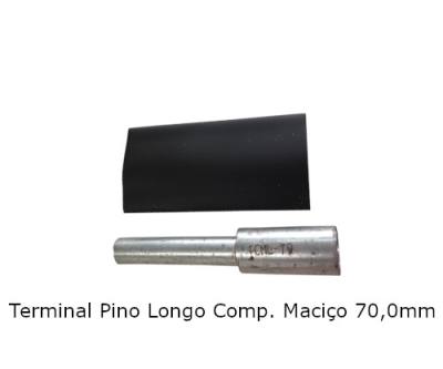 Terminal Pino Longo Comp. Macico .70,0 mm 20*