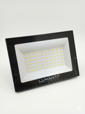 Projetor .100 W Led 110/220V 6500K *